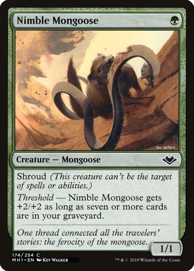 Nimble Mongoose [Modern Horizons] | Mega City Incorporated