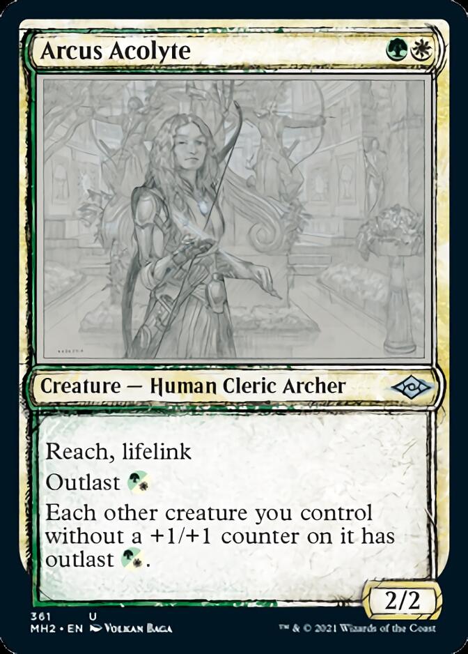 Arcus Acolyte (Sketch) [Modern Horizons 2] | Mega City Incorporated