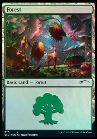 Forest (Predatory) (578) [Secret Lair Drop Promos] | Mega City Incorporated
