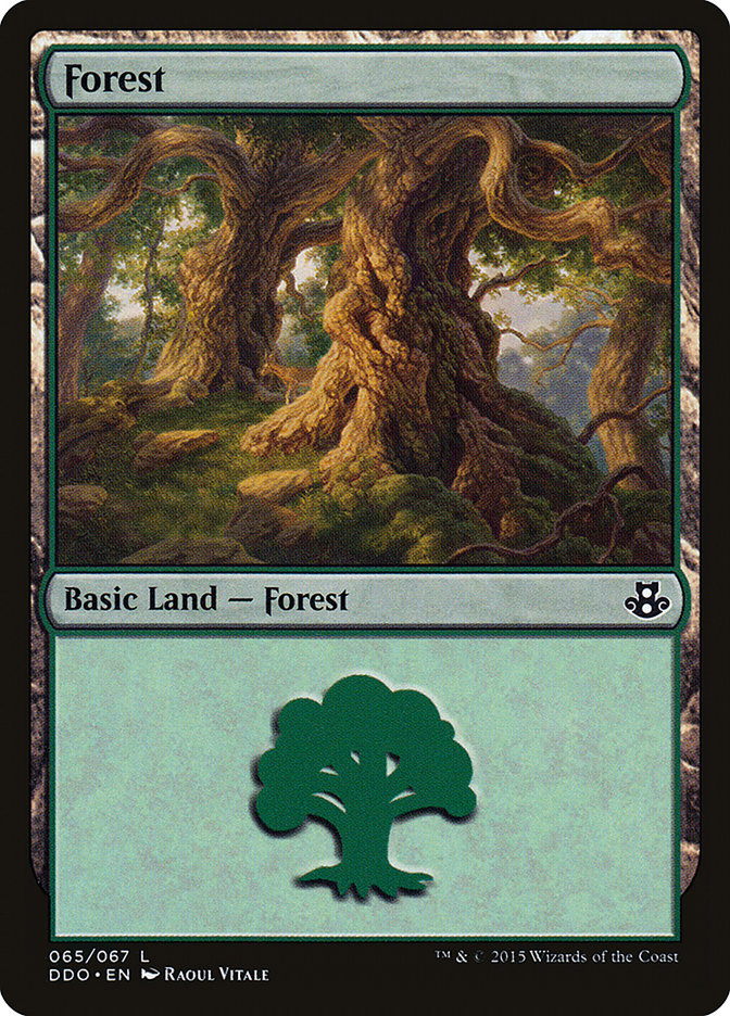 Forest (65) [Duel Decks: Elspeth vs. Kiora] | Mega City Incorporated