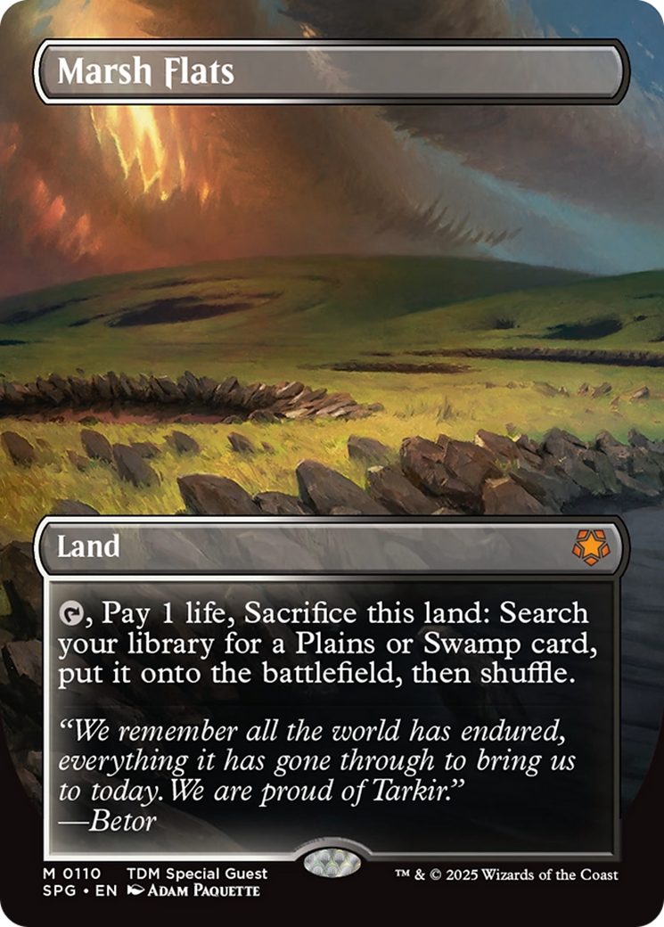 Marsh Flats (Borderless) [Tarkir: Dragonstorm Special Guests] | Mega City Incorporated