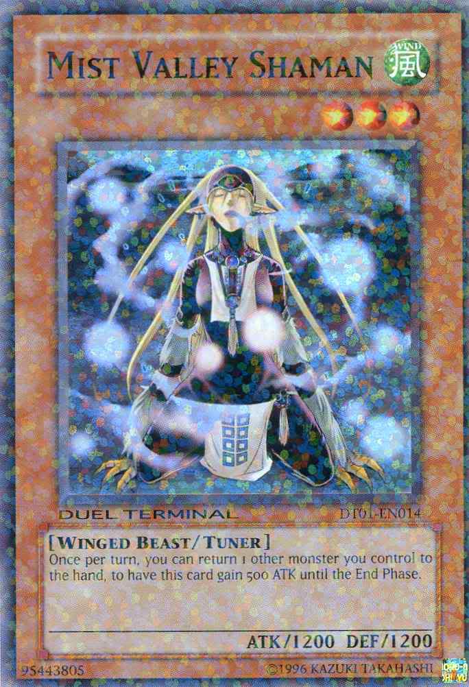 Mist Valley Shaman [DT01-EN014] Super Rare | Mega City Incorporated