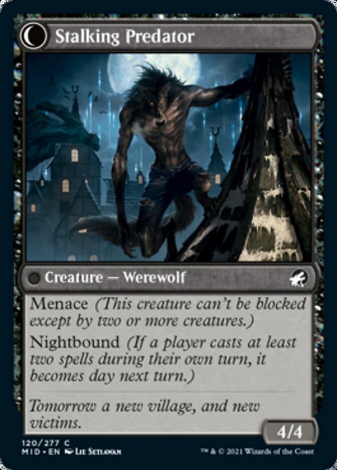 Shady Traveler // Stalking Predator [Innistrad: Midnight Hunt] | Mega City Incorporated