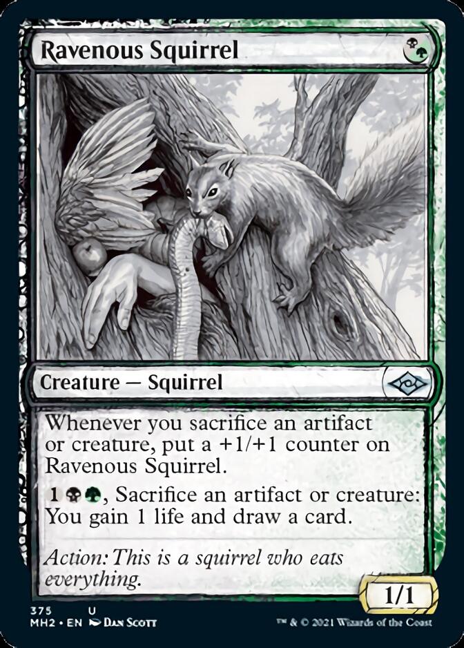Ravenous Squirrel (Sketch) [Modern Horizons 2] | Mega City Incorporated