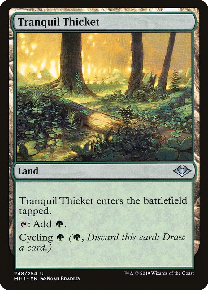 Tranquil Thicket [Modern Horizons] | Mega City Incorporated