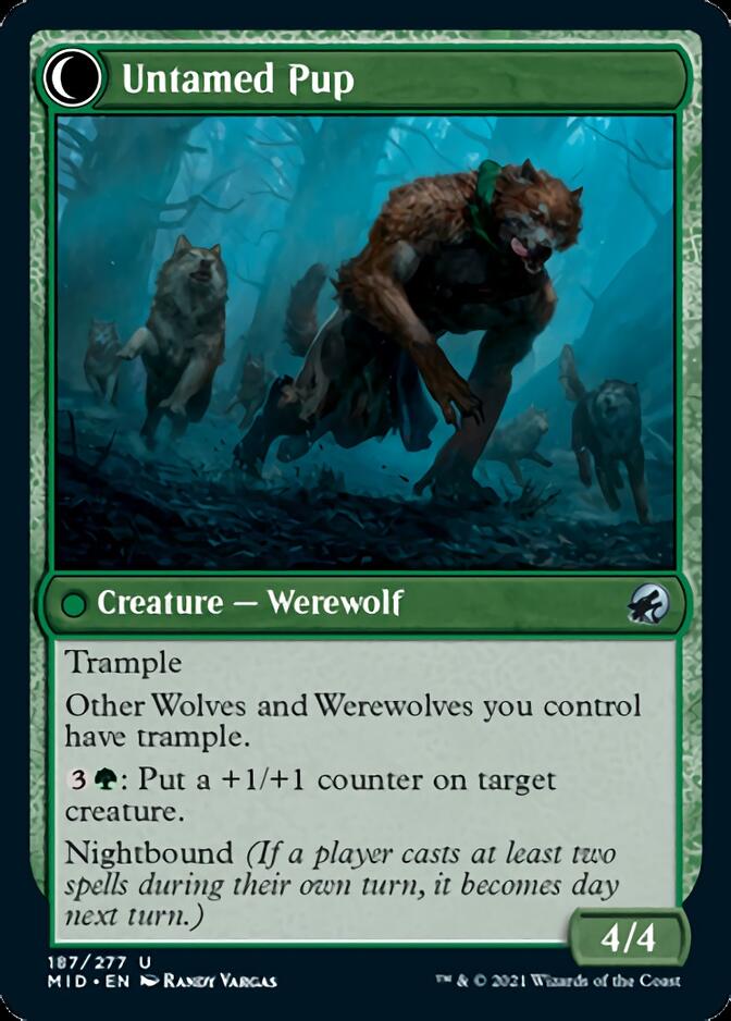 Hound Tamer // Untamed Pup [Innistrad: Midnight Hunt] | Mega City Incorporated