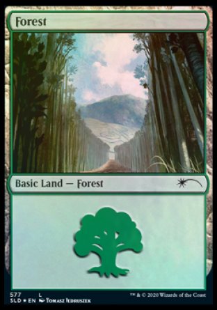 Forest (Walls) (577) [Secret Lair Drop Promos] | Mega City Incorporated