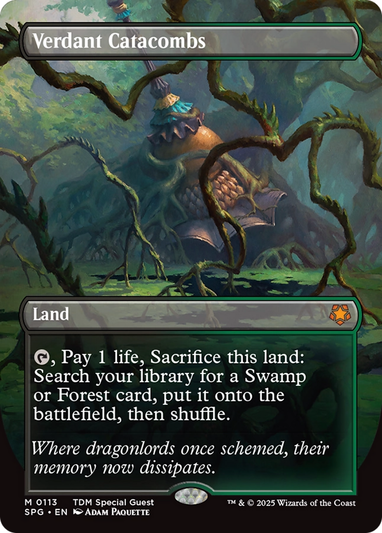 Verdant Catacombs (Borderless) [Tarkir: Dragonstorm Special Guests] | Mega City Incorporated