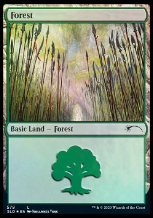 Forest (Elves) (579) [Secret Lair Drop Promos] | Mega City Incorporated