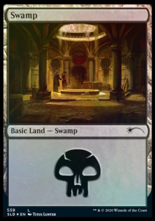 Swamp (Rogues) (559) [Secret Lair Drop Promos] | Mega City Incorporated