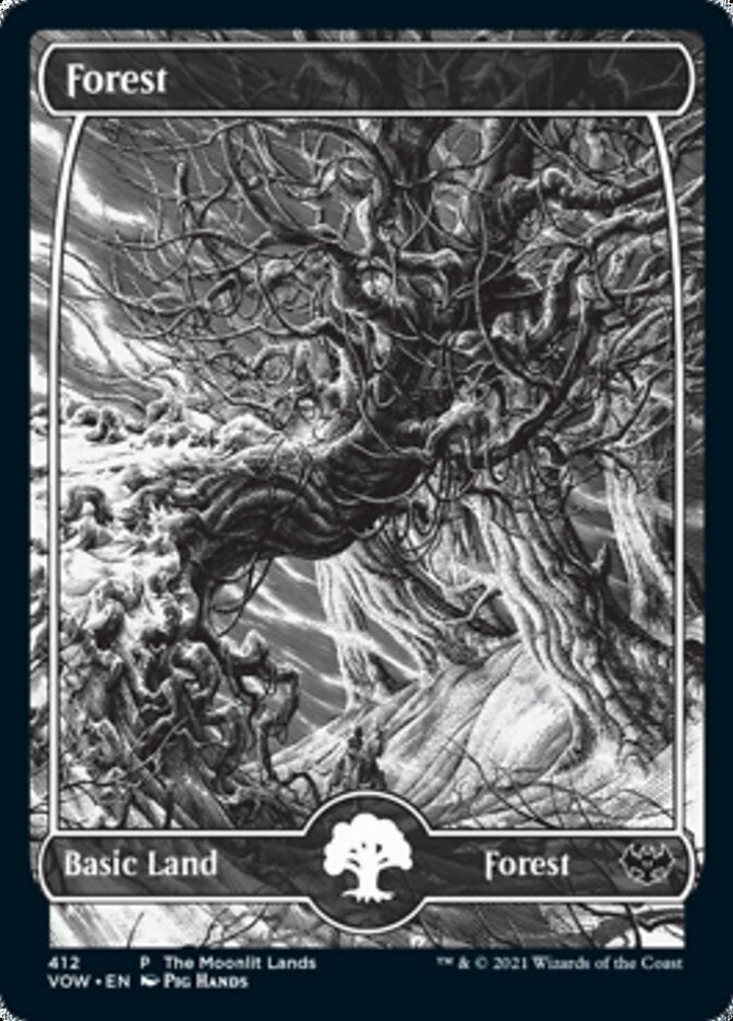 Forest (The Moonlit Lands) (Foil Etched) [Innistrad: Crimson Vow Promos] | Mega City Incorporated