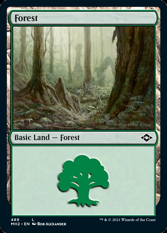 Forest (489) (Foil Etched) [Modern Horizons 2] | Mega City Incorporated