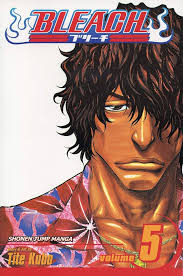 Bleach, Vol. 5 | Mega City Incorporated
