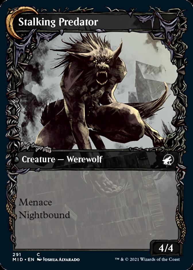 Shady Traveler // Stalking Predator (Showcase Equinox) [Innistrad: Midnight Hunt] | Mega City Incorporated