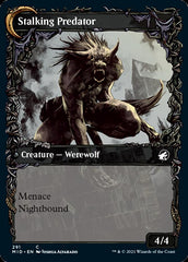 Shady Traveler // Stalking Predator (Showcase Equinox) [Innistrad: Midnight Hunt] | Mega City Incorporated