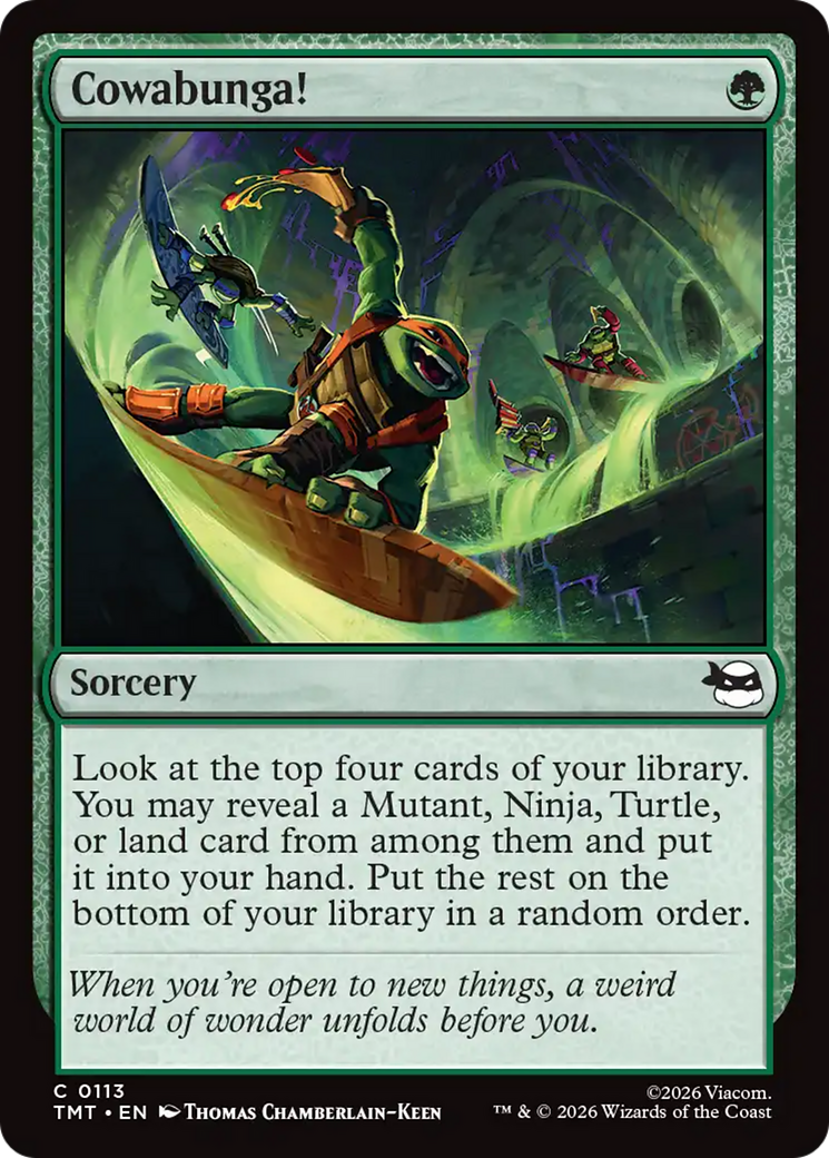 Cowabunga! [Teenage Mutant Ninja Turtles] | Mega City Incorporated