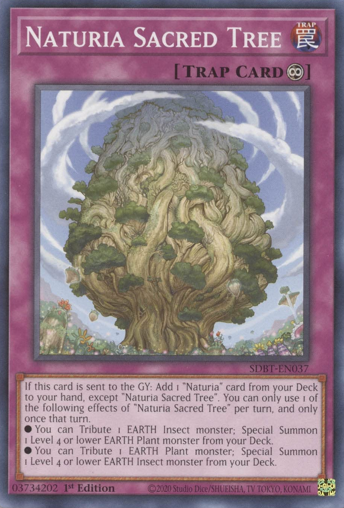 Naturia Sacred Tree [SDBT-EN037] Common | Mega City Incorporated