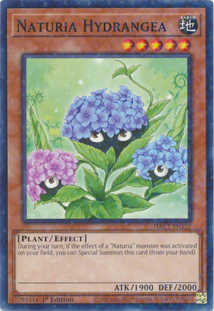 Naturia Hydrangea (Duel Terminal) [HAC1-EN107] Common | Mega City Incorporated