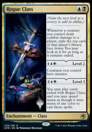 Rogue Class (Promo Pack) [Dungeons & Dragons: Adventures in the Forgotten Realms Promos] | Mega City Incorporated