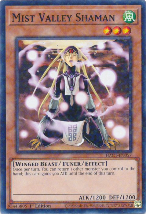 Mist Valley Shaman (Duel Terminal) [HAC1-EN057] Common | Mega City Incorporated