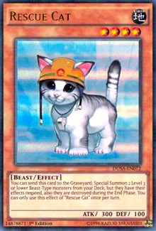 Rescue Cat [DUSA-EN072] Ultra Rare | Mega City Incorporated