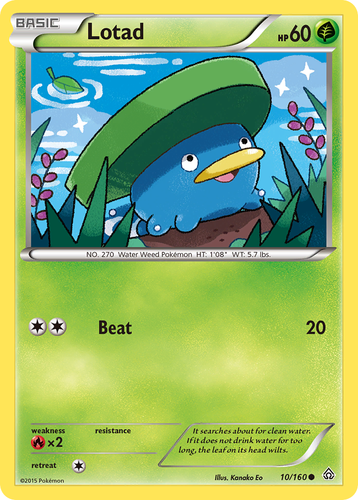 Lotad (10/160) [XY: Primal Clash] | Mega City Incorporated