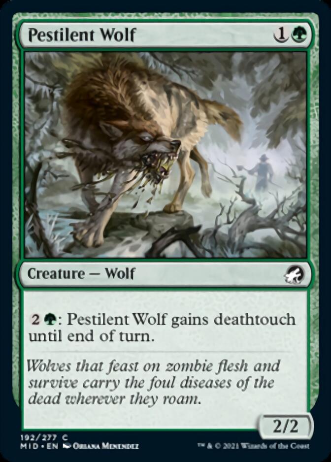 Pestilent Wolf [Innistrad: Midnight Hunt] | Mega City Incorporated