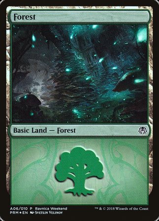 Forest - Golgari (A06) [GRN Ravnica Weekend] | Mega City Incorporated