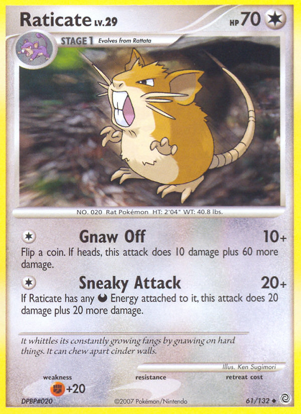 Raticate (61/132) [Diamond & Pearl: Secret Wonders] | Mega City Incorporated