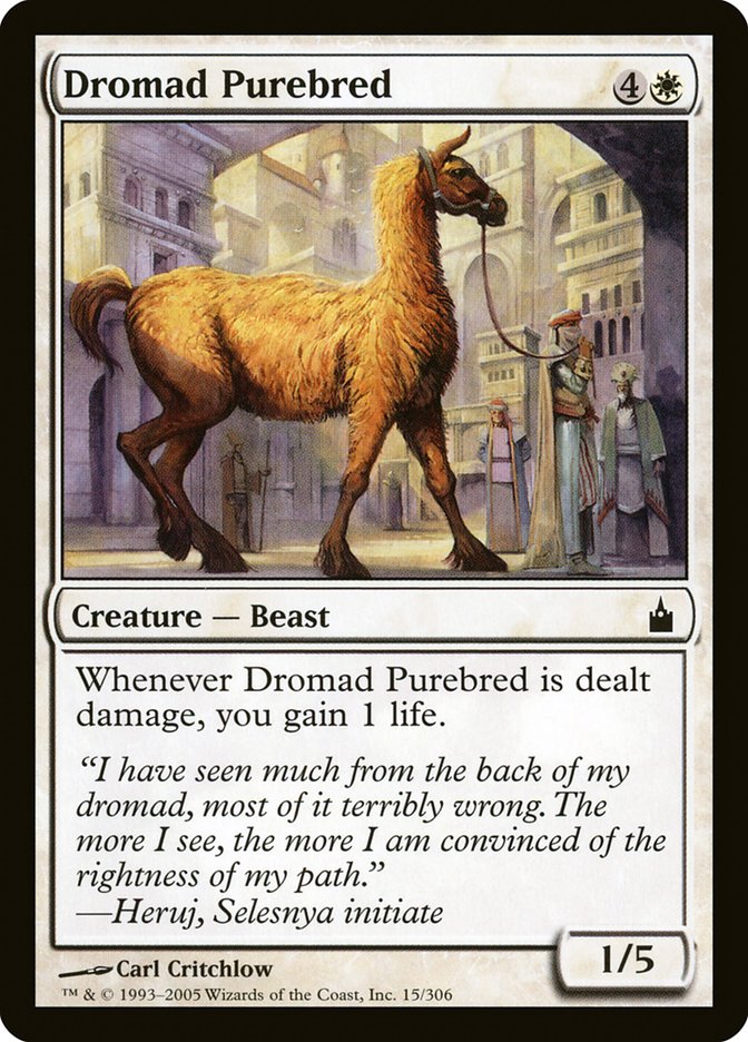 Dromad Purebred [Ravnica: City of Guilds] | Mega City Incorporated