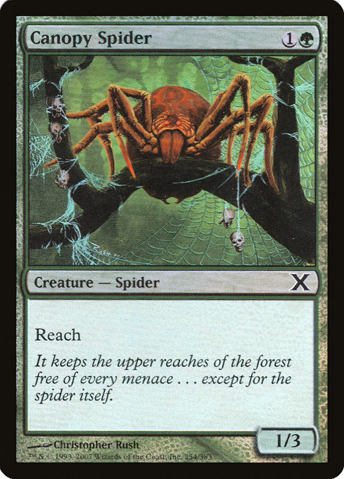 Canopy Spider (Premium Foil) [Tenth Edition] | Mega City Incorporated