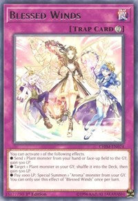 Blessed Winds [CHIM-EN074] Rare | Mega City Incorporated