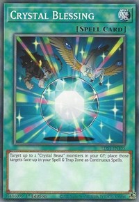 Crystal Blessing [LDS1-EN105] Common | Mega City Incorporated