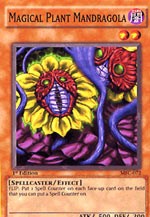 Magical Plant Mandragola [MFC-072] Common | Mega City Incorporated