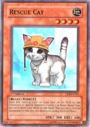 Rescue Cat [FET-EN033] Common | Mega City Incorporated