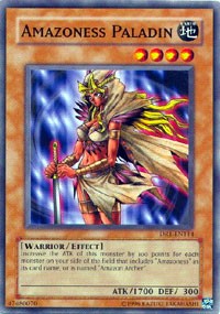 Amazoness Paladin [DR1-EN114] Common | Mega City Incorporated