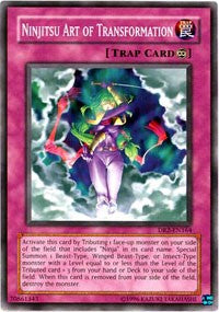 Ninjitsu Art of Transformation [DR2-EN164] Common | Mega City Incorporated