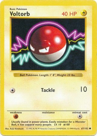 Voltorb (67/102) [Base Set Shadowless Unlimited] | Mega City Incorporated