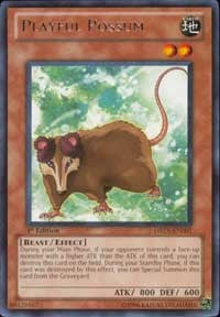 Playful Possum [DREV-EN007] Rare | Mega City Incorporated