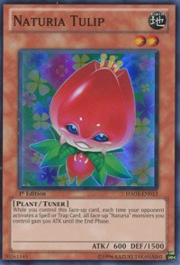 Naturia Tulip [HA03-EN013] Super Rare | Mega City Incorporated