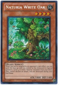 Naturia White Oak [HA04-EN051] Secret Rare | Mega City Incorporated