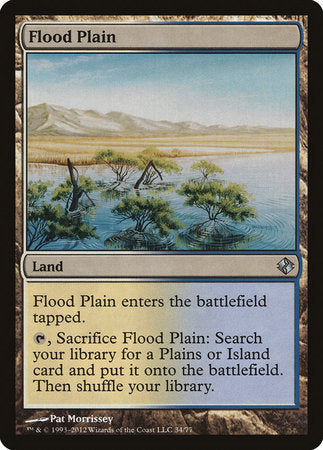 Flood Plain [Duel Decks: Venser vs. Koth] | Mega City Incorporated