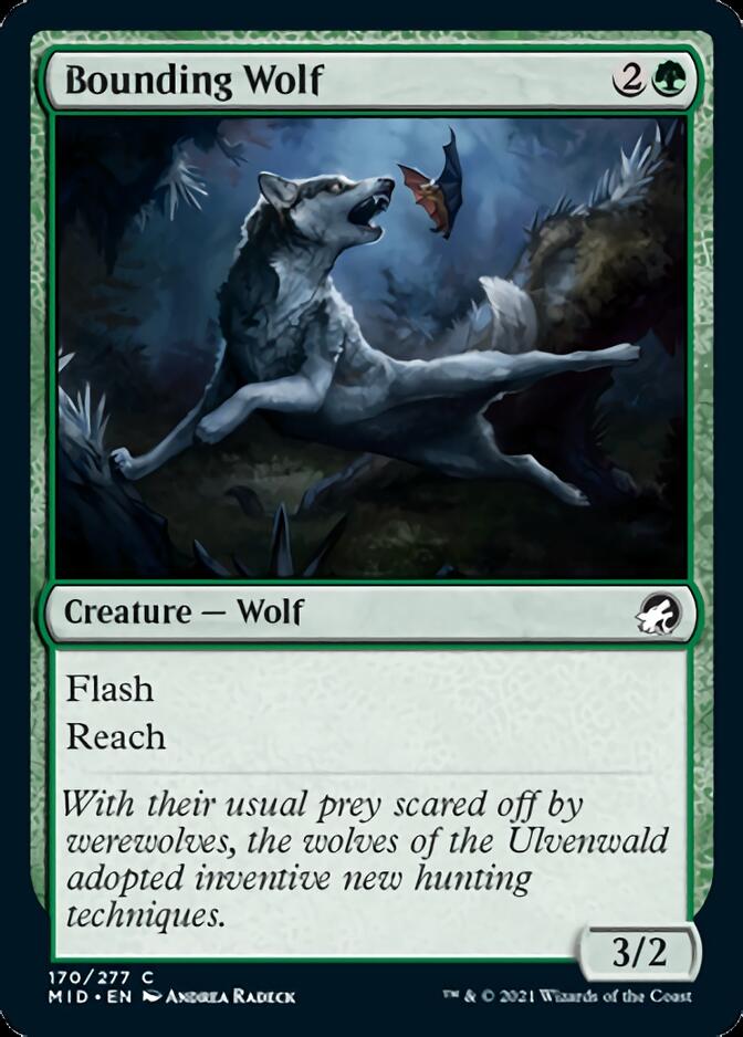 Bounding Wolf [Innistrad: Midnight Hunt] | Mega City Incorporated