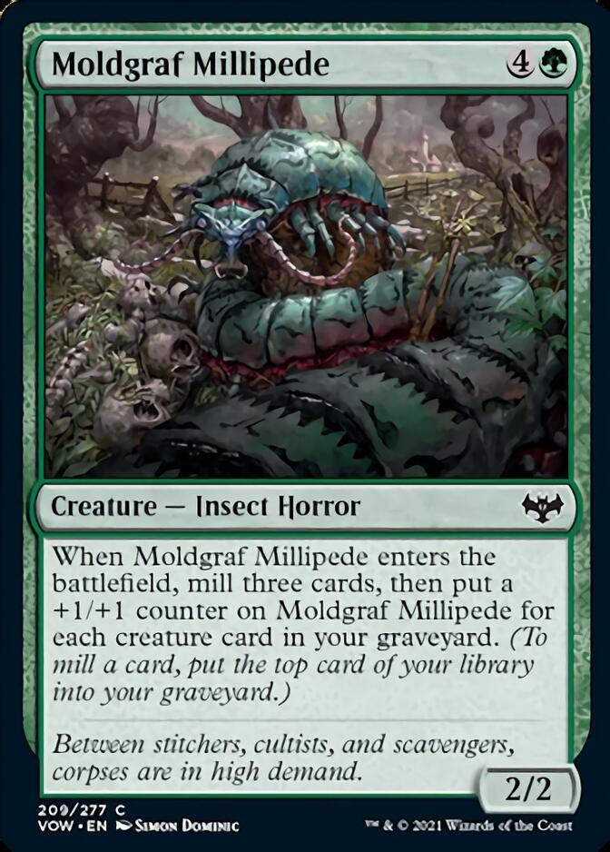 Moldgraf Millipede [Innistrad: Crimson Vow] | Mega City Incorporated