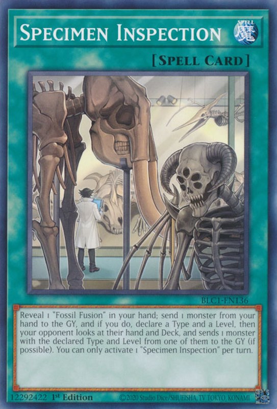 Specimen Inspection [BLC1-EN136] Common | Mega City Incorporated