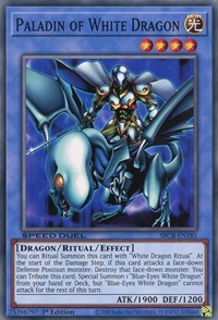 Paladin of White Dragon [SBCB-EN185] Common | Mega City Incorporated