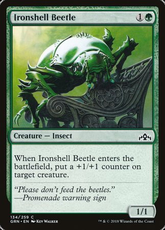 Ironshell Beetle [Guilds of Ravnica] | Mega City Incorporated