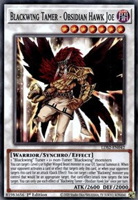 Blackwing Tamer - Obsidian Hawk Joe [LDS2-EN042] Common | Mega City Incorporated