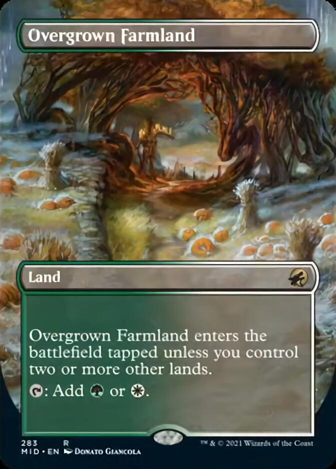 Overgrown Farmland (Borderless) [Innistrad: Midnight Hunt] | Mega City Incorporated