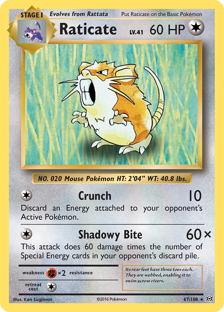 Raticate (67/108) [XY: Evolutions] | Mega City Incorporated